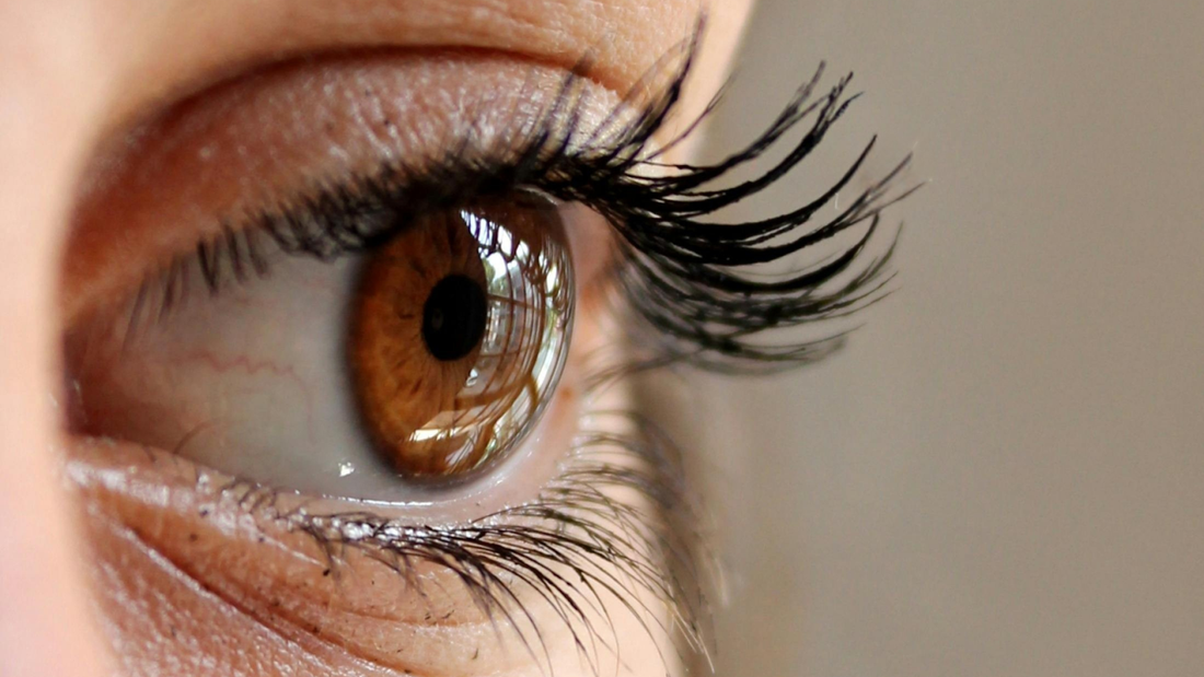 Clean Makeup Products for Healthy Skin